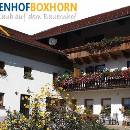 Ferienwohnung Woferlhof, Ferienhof Boxhorn Böbrach Exterior foto