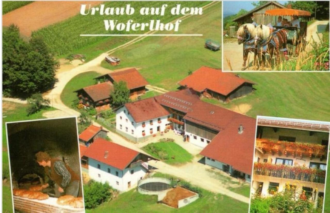 Woferlhof, Ferienhof Boxhorn Böbrach Exterior foto